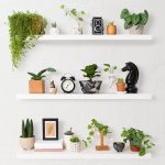 wall shelves