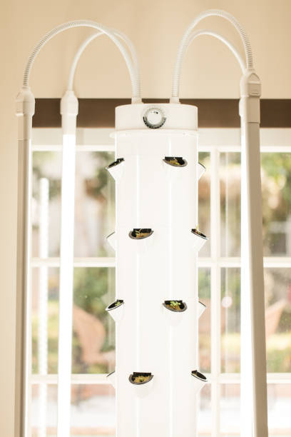 hydroponic tower garden