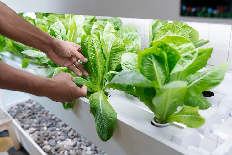 hydroponic tower