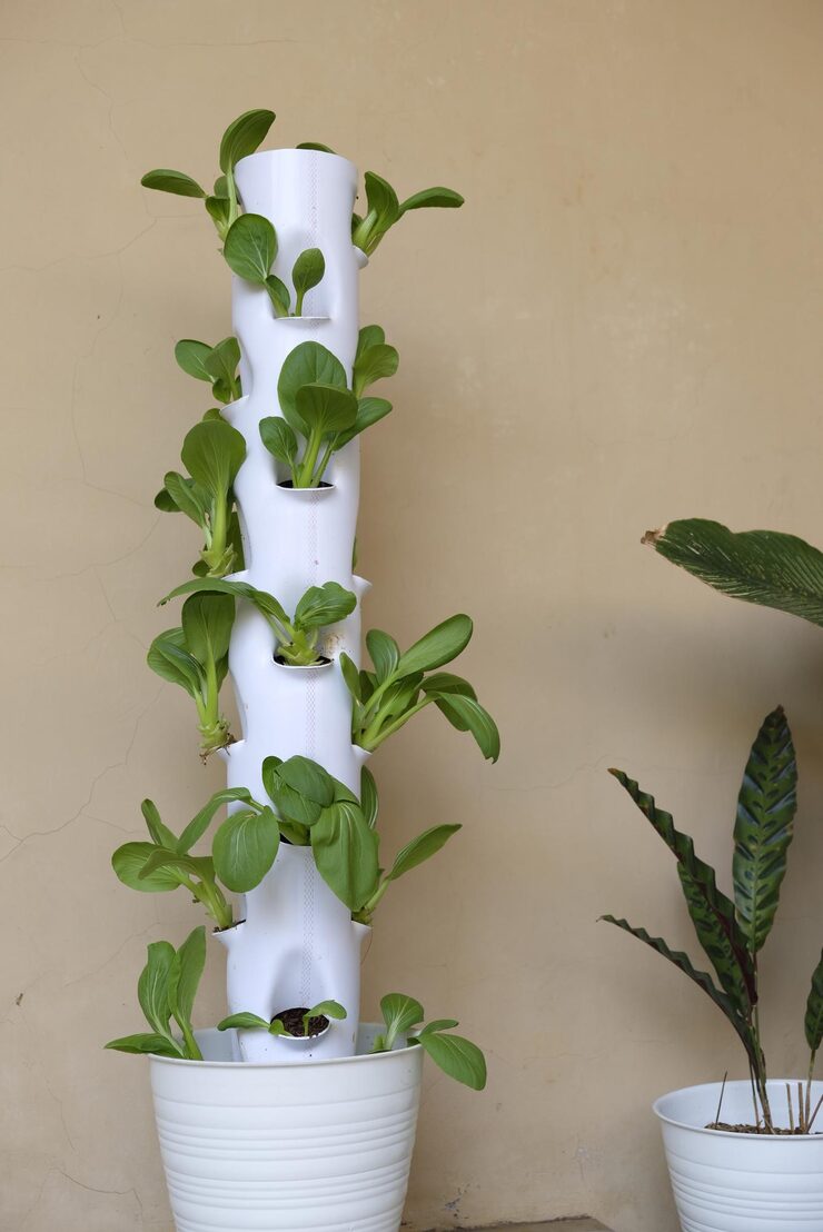 hydroponic tower