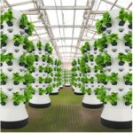 hydroponic tower garden