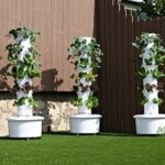 Starting a tower garden