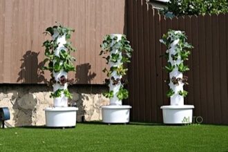 Starting a tower garden