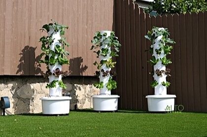 Starting a tower garden