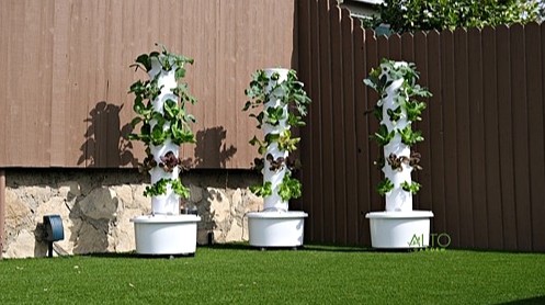 Starting a tower garden